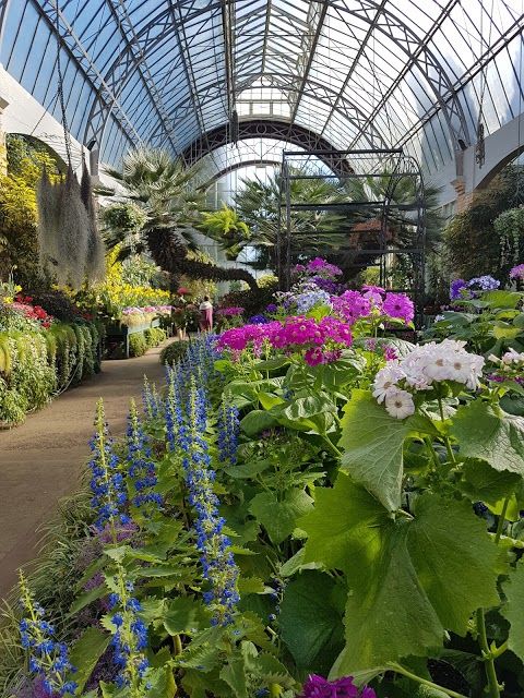 Domain Wintergardens